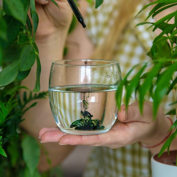 A woman drinks liquid chlorophyll. Selective focus. Nature.